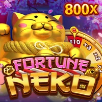 Cookie hiệu suất tải 88ee